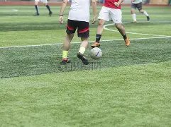 菲力克斯欧,冠小组赛首,战独进三球,BB贝博艾弗森,BB,BB贝博艾弗森体育官网,BB贝博艾弗森官网,BB贝博艾弗森体育下载