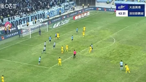 BB贝博艾弗森体育