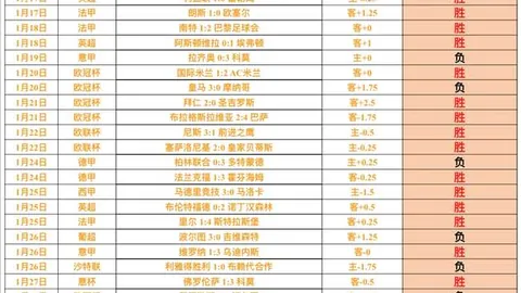 BB贝博艾弗森体育