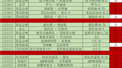 BB贝博艾弗森体育