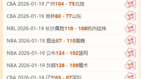 BB贝博艾弗森体育