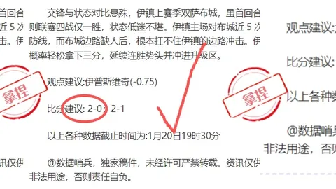 BB贝博艾弗森体育